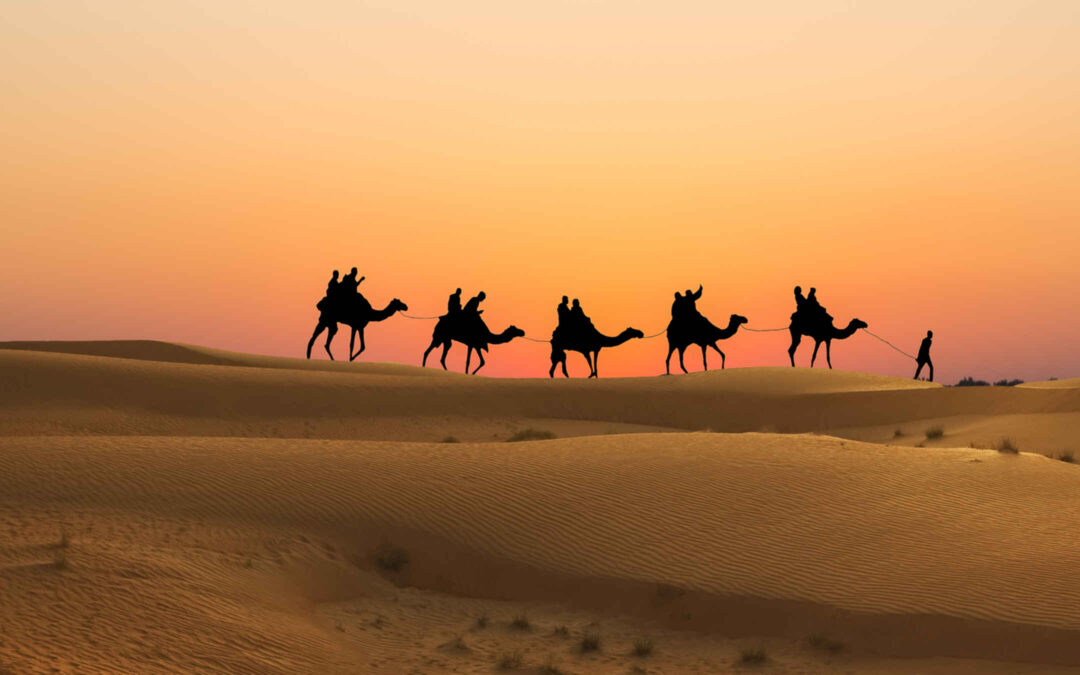 Safari del desierto – Turista